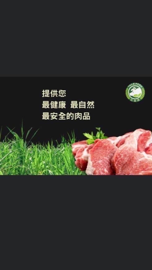 活菌畜牧養殖豬（台灣豬）