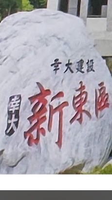 新東區