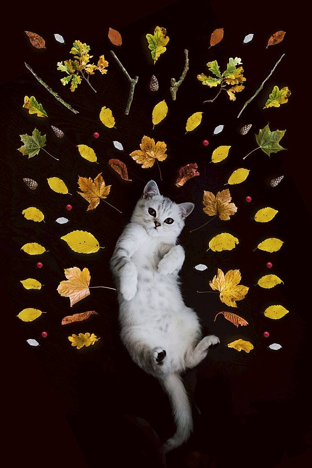 Photo by Unsplash/whatisdelirium