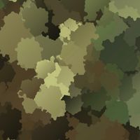 喵VS軍軍軍🪖🪖🪖