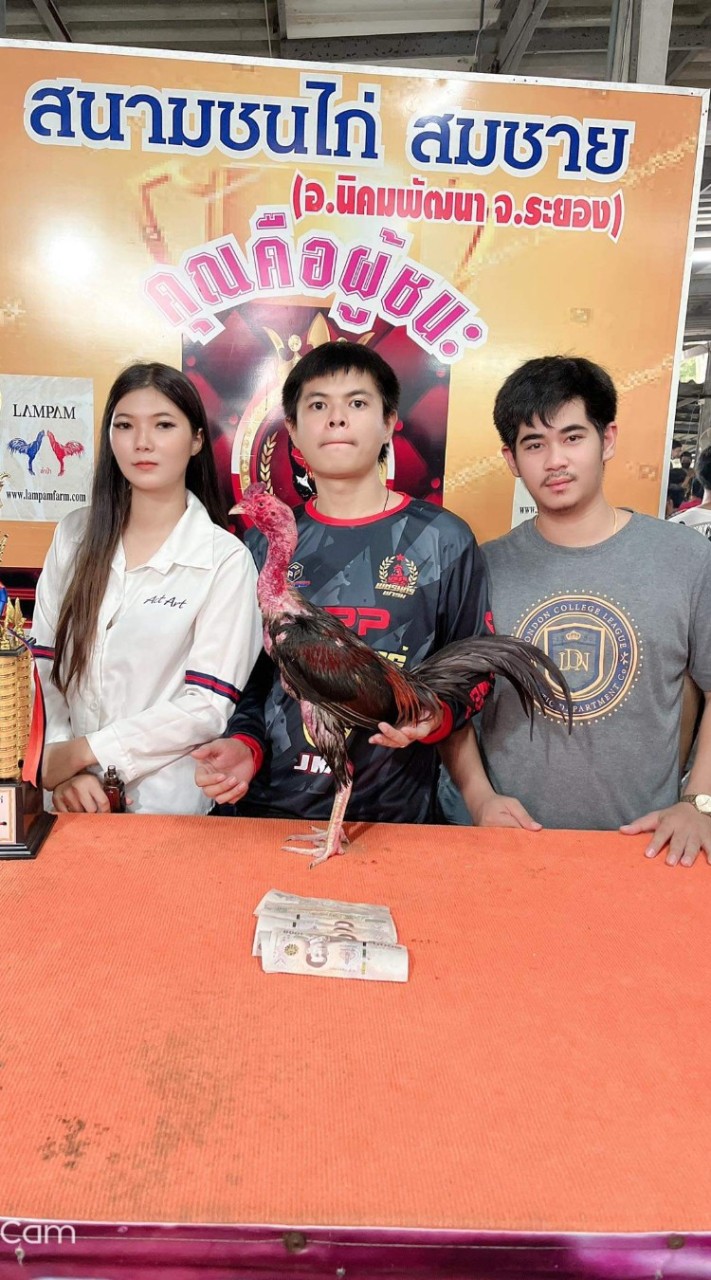 ซุ้ม ดื้อด้าน พัทยาฟาร์มไก่ชนสายส.มีสุวรรณ