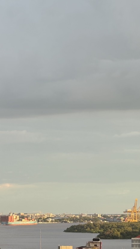 SNT26 (B)