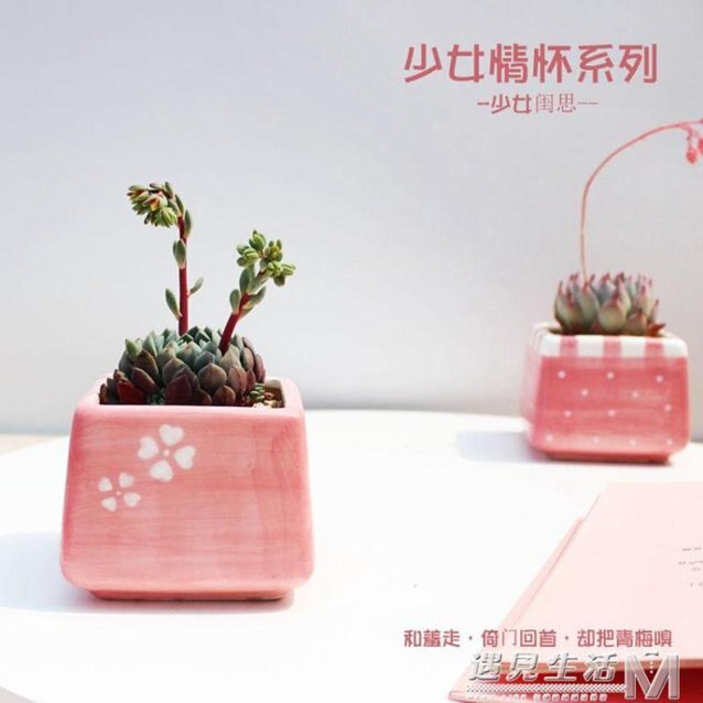 盆匠 少女情懷系列粉色拇指盆 手繪多肉花盆 多肉植物容器 花器