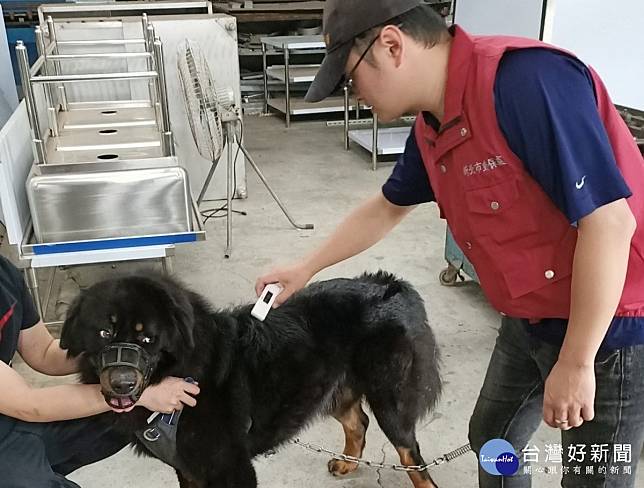 獒犬脫綁咬傷民眾　飼主遭罰3萬元