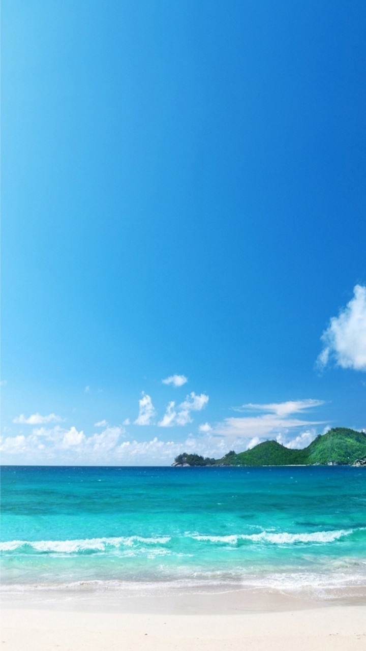 お得・副業情報