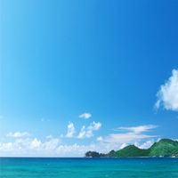 お得・副業情報