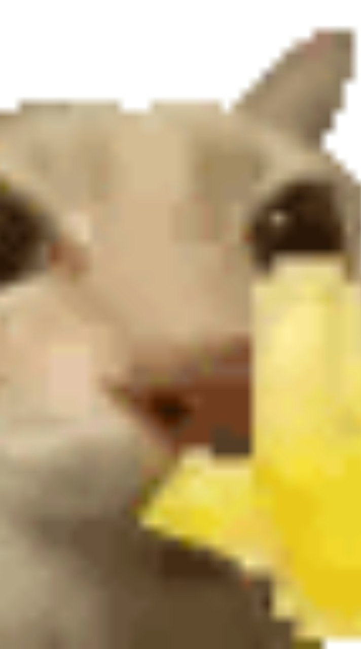 กลุ่มสัตว์โลก