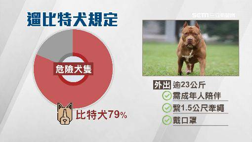 比特犬傷人遭隔離飼主探望竟被咬死 三立新聞網 Line Today