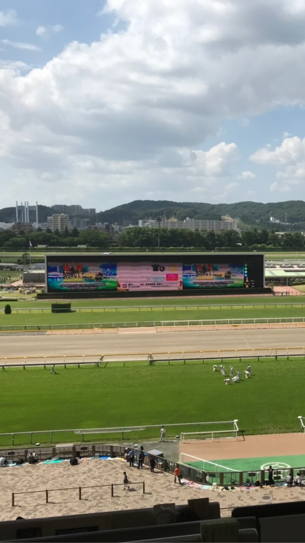 OpenChat ノブ@競馬予想の部屋🏇