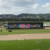 ノブ@競馬予想の部屋🏇