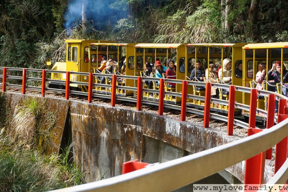 森林浴+溫泉浴雙享受！搭蹦蹦車美拍宜蘭太平山，順路喝雲海咖啡、泡仙氣美人湯