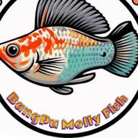 ปลาบ้านบิวบางปู🐠🏡 BangPu Molly Fish🐠