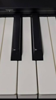 貓頭鷹音樂屋鋼琴週四班