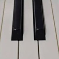 貓頭鷹音樂屋鋼琴週四班