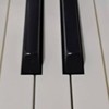 貓頭鷹音樂屋鋼琴週四班