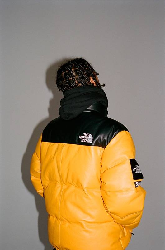 supreme the north face 2017