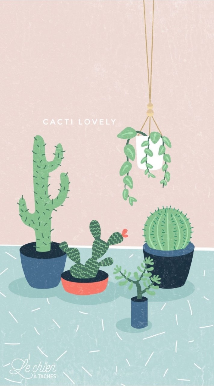 Cacti lovely