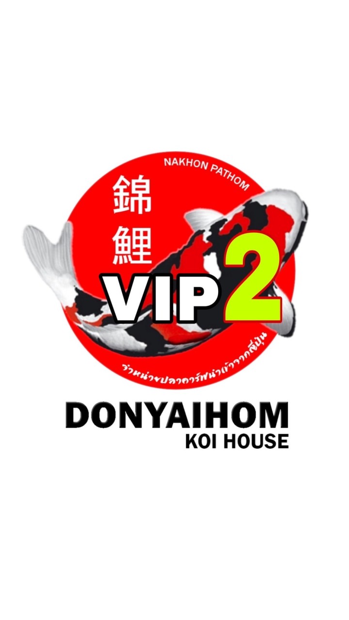 Donyaihom Koi VIP2🎏Sale&Auction