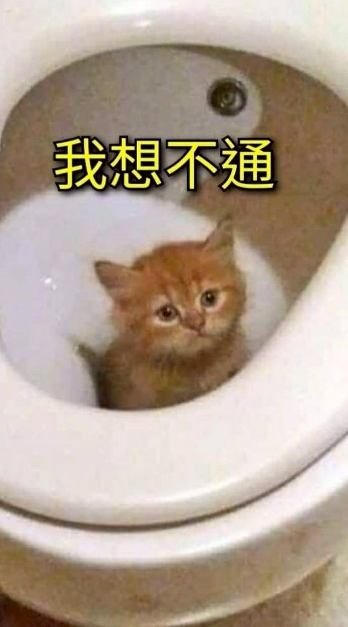 東分西散的藝術家們