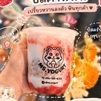 Ms.yogurt Rmutt