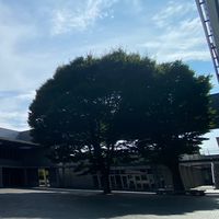 芦花高校1,2,3期同期会