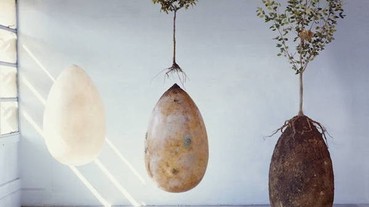 土葬火葬水葬全都落伍了 義大利竟是用這蛋型膠囊把人變成一顆樹？