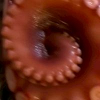 ポイ活をしよう！