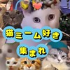 猫ミーム博物館