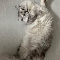 獻出你的肝-天外：英雄