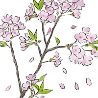ボイスドラマのトップへ