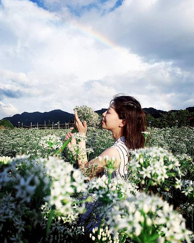 網美花海要怎麼拍 秋季旅遊全台巡迴賞花去 5大花海從10月一路玩到年底 妞新聞 Line Today