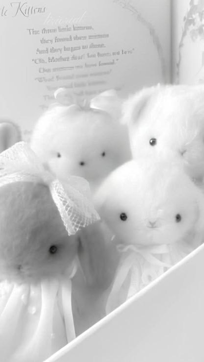 🧂🥄𝗗𝘂𝗻 𝗮𝗰𝗰🐰 𝗳𝗯 𝘁𝘁 𝐢𝐠𓍯ᯤ