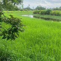 อาบป่าเกษตรสุขวันหยุด