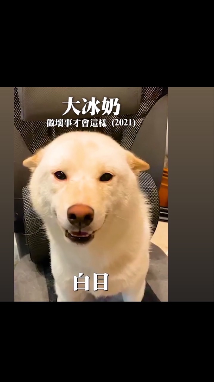 是非之地