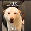 是非之地