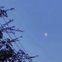 あーいう 瞳 が すきなの ？       *  夏コラ 緩也  *