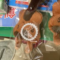 弦樂器🎻