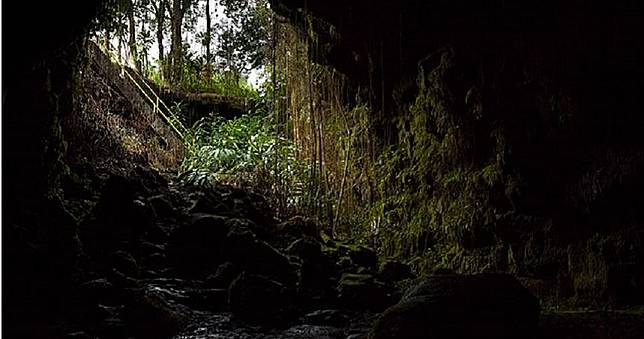 後院驚見「138年熔岩管」　老翁失足摔6m管內慘死