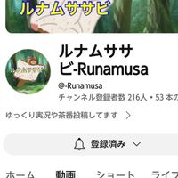 ルナムササビ応援し隊