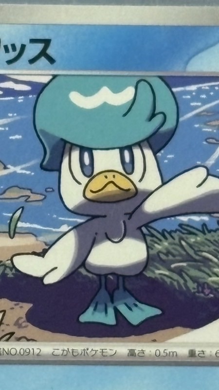 ポケモンルーム