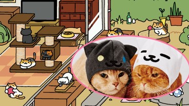 貓咪收集 X 寵物用品店！將奶油さん帶回屋企！！