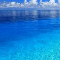 クトゥルフ神話TRPG　海鮮卓#初心者大歓迎#ルルブなしでも可