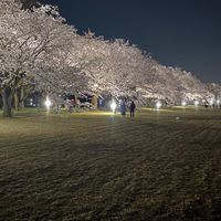 ゆる星やつら