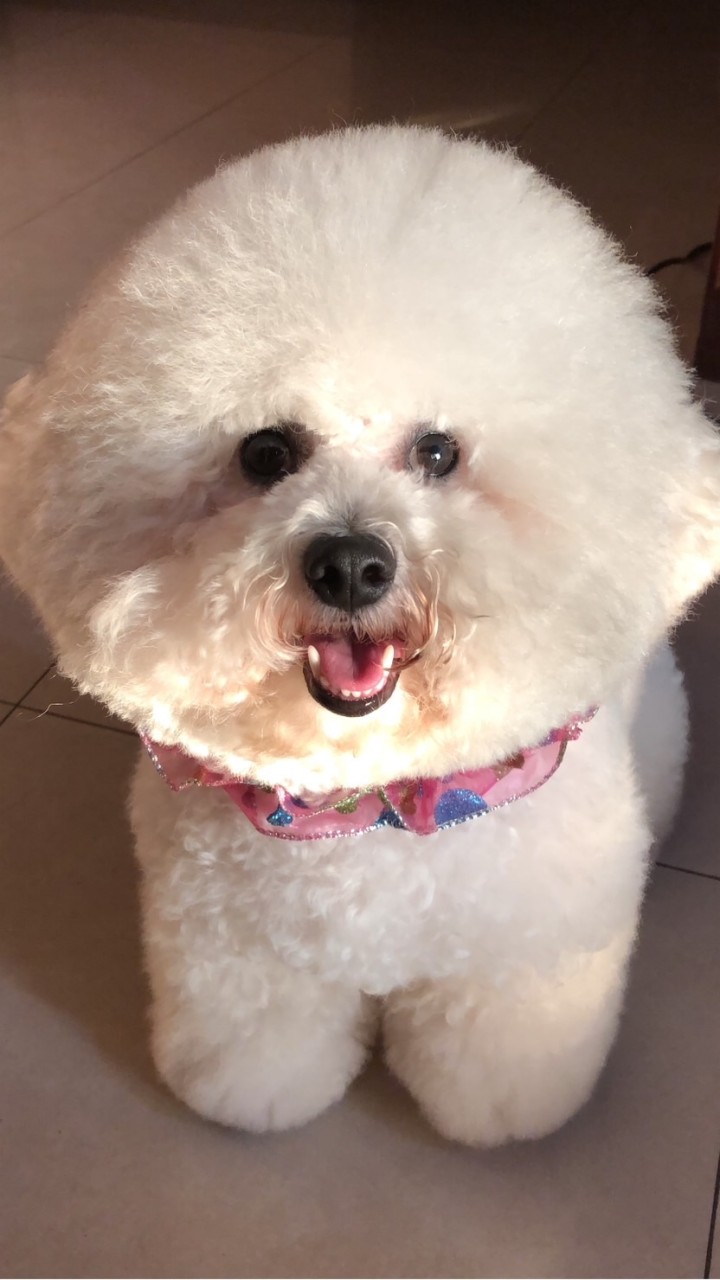 小批發、販賣🫨❤️