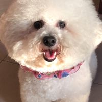 小批發、販賣🫨❤️