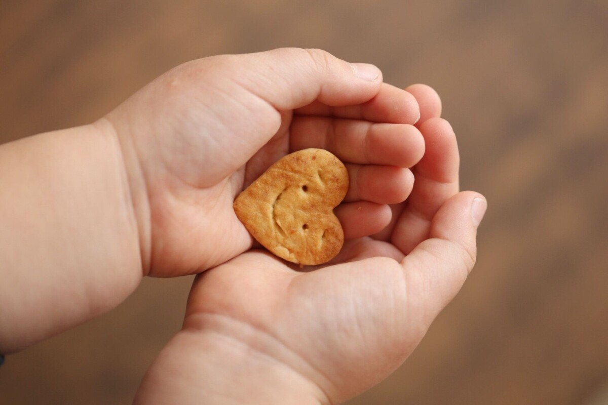 1歳児におすすめのおやつを解説 市販のお菓子はあげていい