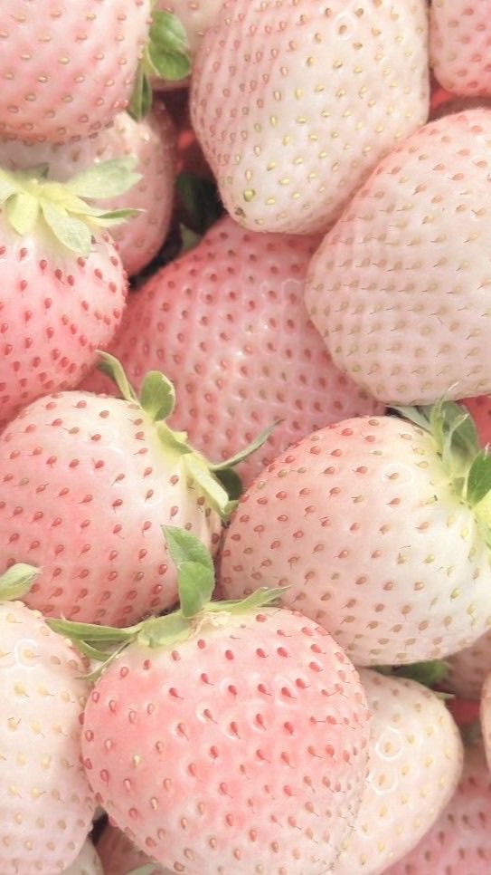 マイホーム🍓全緩ハント
