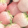 マイホーム🍓全緩ハント