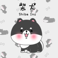 柴寶筆記