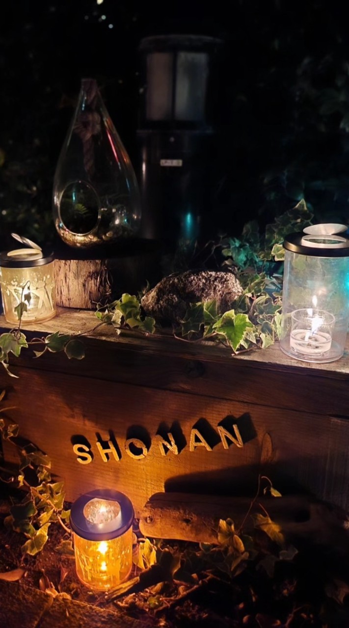 🐬🏝湘南で🍷呑みたい🌊🏄🌤東海道線沿いの部屋〜26歳以上限定🍷雑談・ランチ・夜(ΦωΦ)